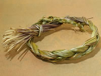 Sweetgrass