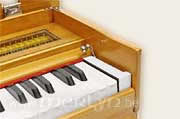 harmonium Paloma Kirtan 23B